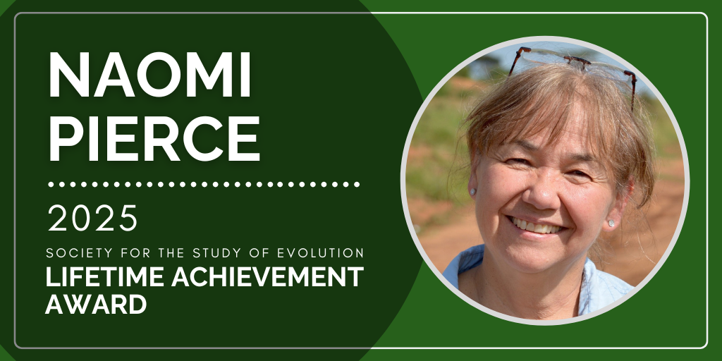  Headshot of Naomi Pierce. Text: Naomi Pierce, 2025 Society for the Study of Evolution Lifetime Achievement Award.