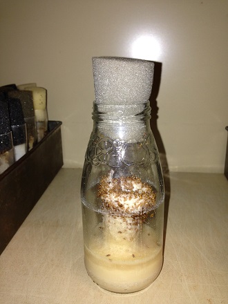 A bottle of flies